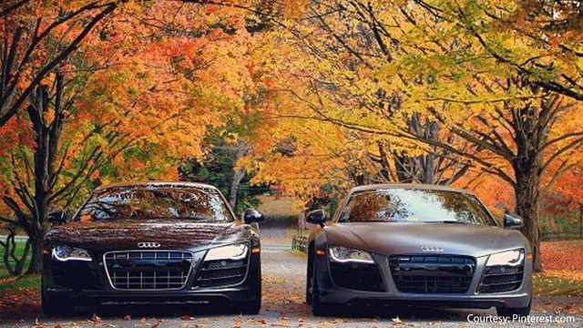 11 Pictures of Audis That Will Get You in the Fall Spirit