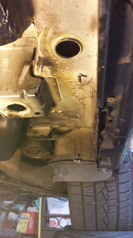 Strange fluid leak between driver side wheels (!?!?)-mystery_oil_leak1.jpg