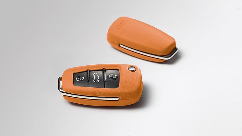 Here's an accessory I've never seen before....-signal-orange.jpg