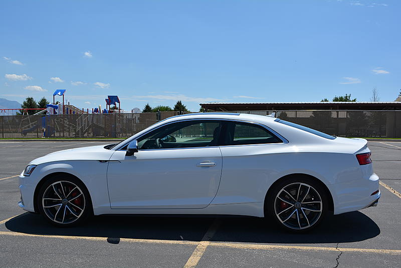 Pics you took today of your A5/S5-dsc_0079.jpg
