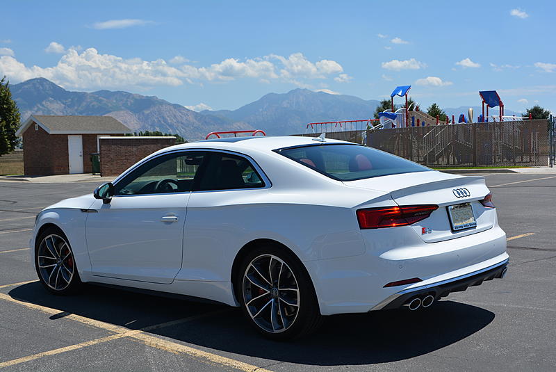 Pics you took today of your A5/S5-dsc_0080.jpg