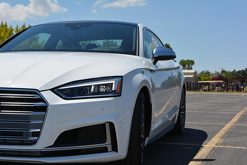 Pics you took today of your A5/S5-dsc_0085.jpg