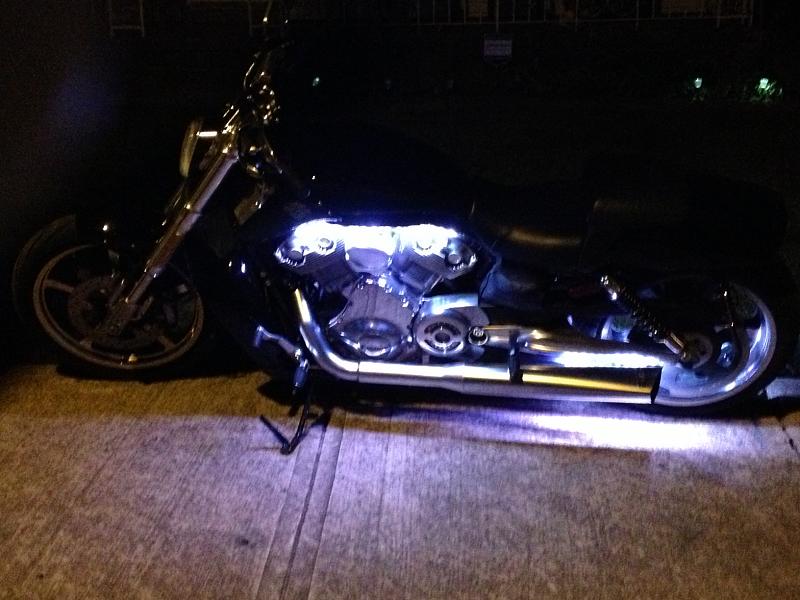 Welcome to the Motorcycle forum. Show us your ride-v-rod-w-leds.jpg