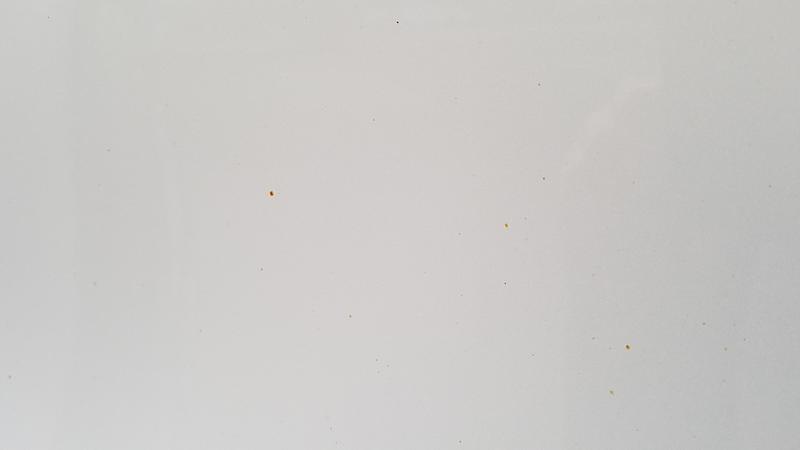 Rust spots on paint (Glacier White Metallic)-rail-dust.jpg