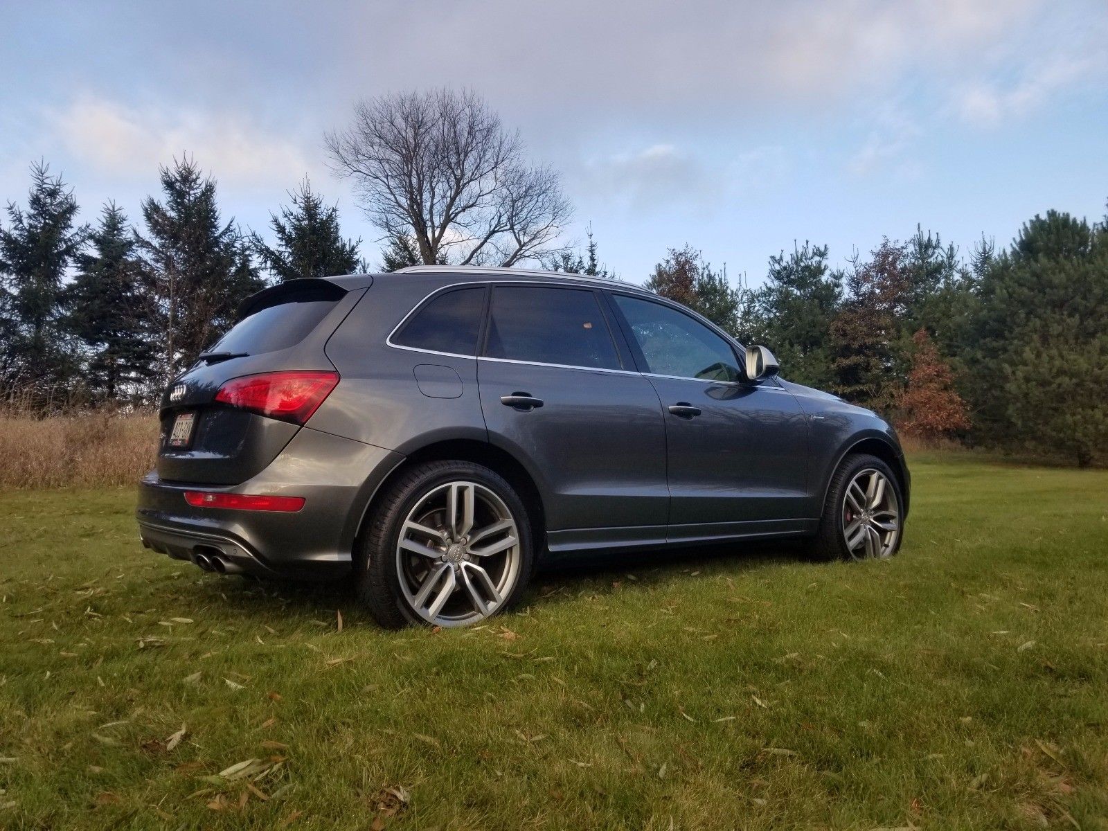 Audi sq5 2015