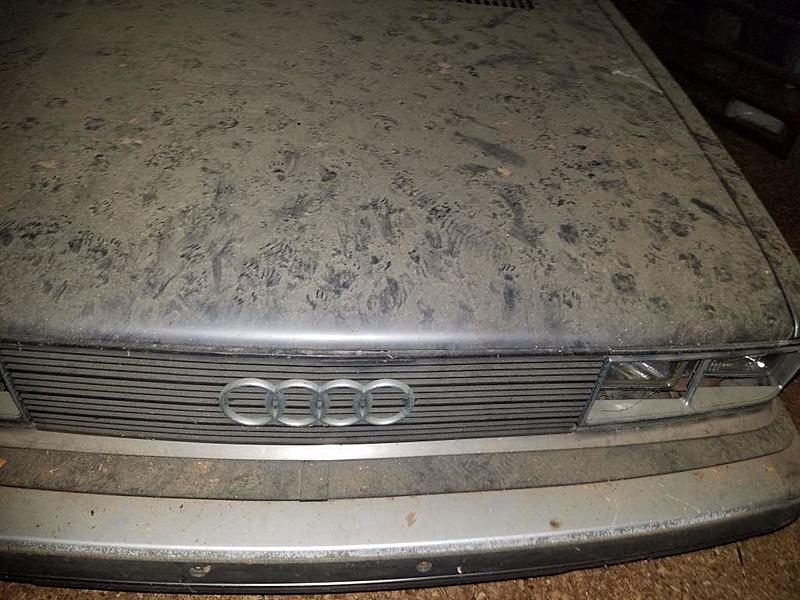 Audi 4000 Coupe Barn Find Value?-pic-3.jpg