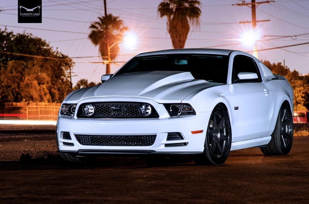 Name:  Mustang-GT-16_zps80d8d086.jpg
Views: 169
Size:  98.0 KB