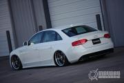 T-Audi's Avatar