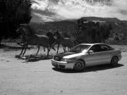 De Coupe's Avatar