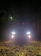 Waudi's Avatar