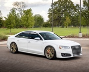 MN-A8's Avatar