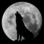 Lonewolf95's Avatar