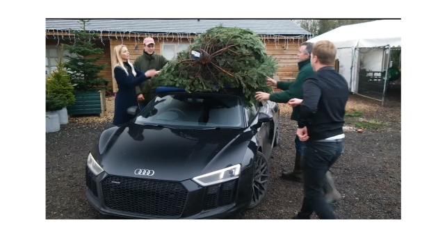 5 Audis Bringing Home the Christmas Tree