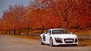 10 Pictures of Audis That Will Get You Into the Fall Spirit