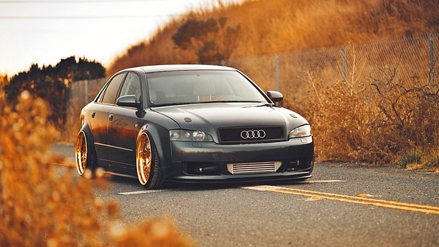 Audis to Get You into the Fall Spirit